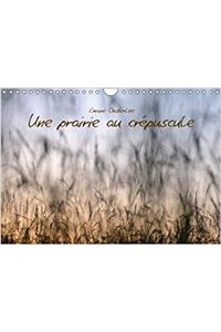 Une Prairie Au Crepuscule 2018