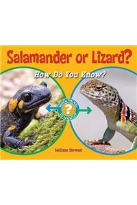 Salamander or Lizard?