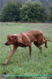 Rhodesian Ridgeback Affirmations Workbook Rhodesian Ridgeback Presents