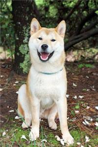 The Shiba Inu Dog Journal