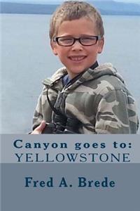 Canyon Goes to Yellowstone: Visiting a Volcano