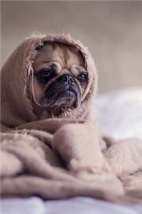 Pug in a Blanket Dog Journal