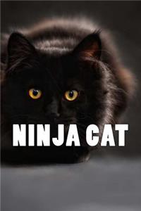 Ninja Cat