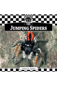 Jumping Spiders