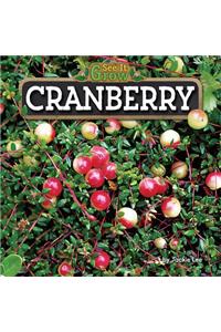 Cranberry