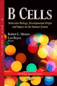 B Cells