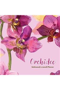 Orchidee