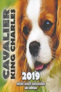 Cavalier King Charles 2019 Mini Wall Calendar (UK Edition)