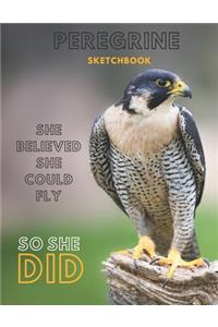 Peregrine falcon Sketchbook Large sketchbook for drawing 8.5 x 11 inch (21.59 x 27.94 cm) 150 pages