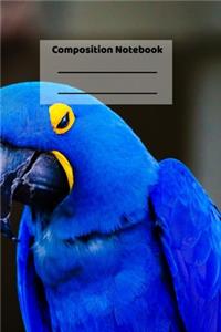 Composition Notebook