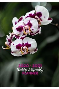 Weekly and Monthly Planner