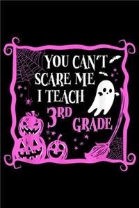 You Can't Scare me I Teach 3rd Grade