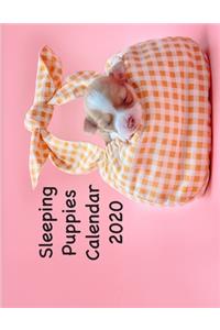 Sleeping Puppies Calendar 2020