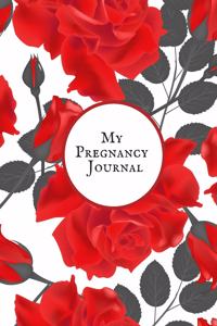 My pregnancy Journal