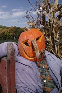 2020 Weekly Planner Farm Scarecrow Pumpkin Head 134 Pages