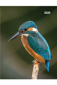 Low Vision Large Print 2020 Monthly & Weekly Planner Day-Month-Year