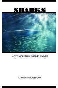 Sharks Note Monthly 2020 Planner 12 Month Calendar