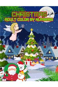 Christmas Adult Color By Numbers