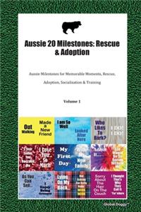 Aussie 20 Milestones