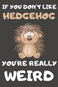 If You Don't Like Hedgehog You're Really Weird