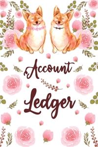 Account Ledger