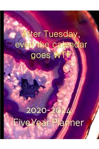 My 4 Moods I'm Too Old For This Shit I'm Too Tired For This Shit I'm Too Sober For This Shit I Don't Have Time For This Shit 2020-2024 Five Year Planner