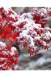 Japanese Maple Winter Snow School Composition Book 130 Pages