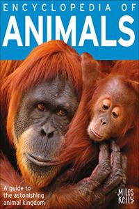 B384FL Encyclopedia of Animals