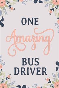One Amazing Bus Driver