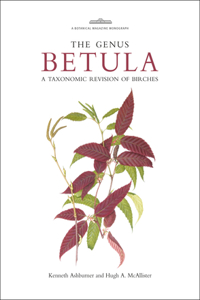 Genus Betula
