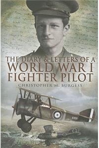 Diary and Letters of a World War I Fighter Pilot