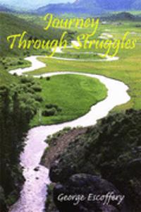 Journey Through Struggles