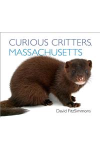 Curious Critters Massachusetts