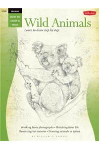 Wild Animals: Learn to Draw Step by Step