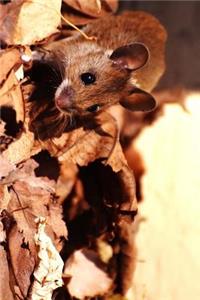 Cute Little Field Mouse and the Leaves of Fall Journal