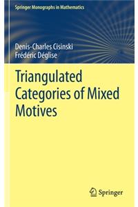 Triangulated Categories of Mixed Motives