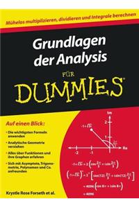 Grundlagen der Analysis fur Dummies