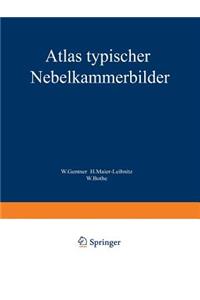Atlas typischer Nebelkammerbilder