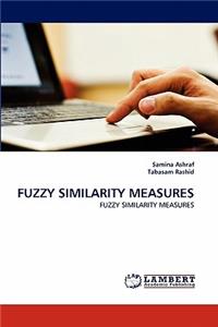 Fuzzy Similarity Measures