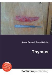 Thymus