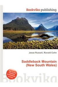 Saddleback Mountain (New South Wales)