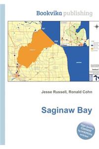 Saginaw Bay