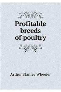 Profitable Breeds of Poultry