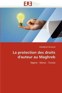 La Protection Des Droits d''auteur Au Maghreb