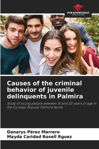 Causes of the criminal behavior of juvenile delinquents in Palmira