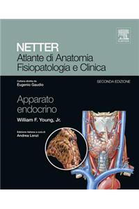 Atlante Di Anatomia Fisiopatologia E Clinica: Apparato Endocrino