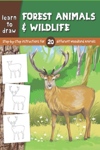 Learn to Draw Forest Animals & Wildlife