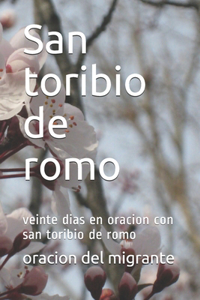 San toribio de romo