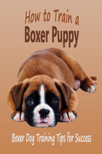 How to Train a Boxer Puppy