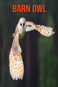 Barn owl